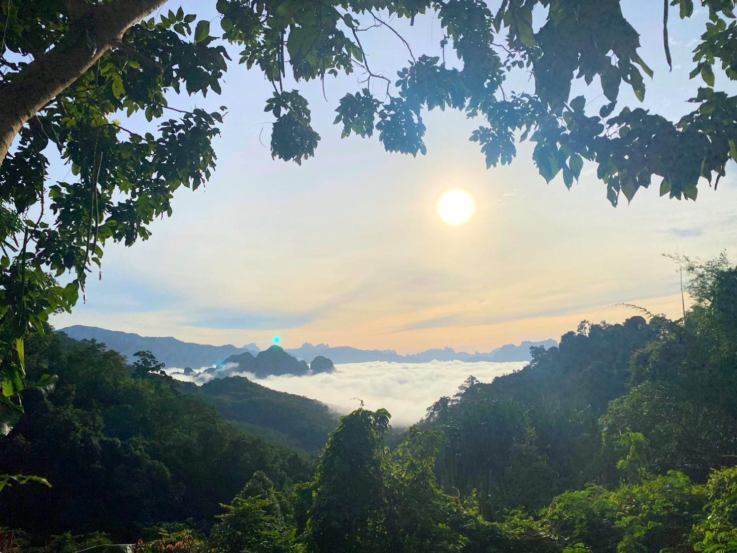 Flora Hostel Khaosok Khao Sok National Park Buitenkant foto