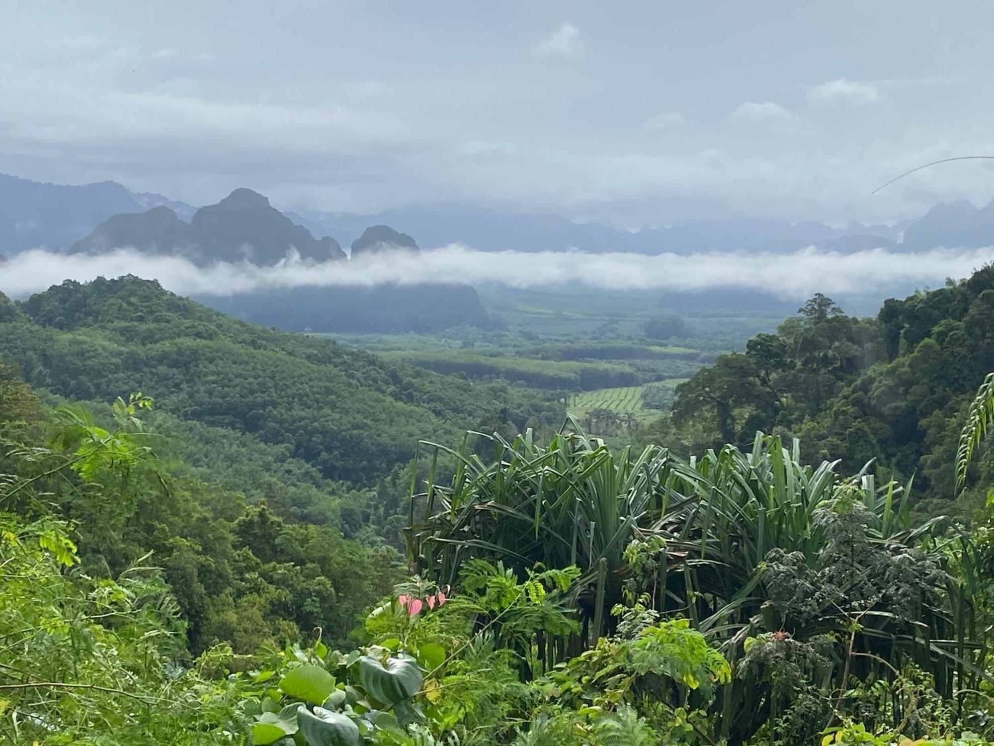 Flora Hostel Khaosok Khao Sok National Park Buitenkant foto